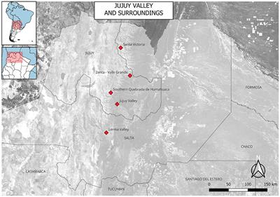 Modes of production during the Inka Imperial Period (1420–1535 AD) and the Early Colonial Period (1535–1660 AD) in the Jujuy Valley, Argentina